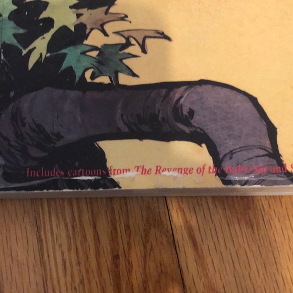 Calvin and Hobbes Books - Picture 4 of 4